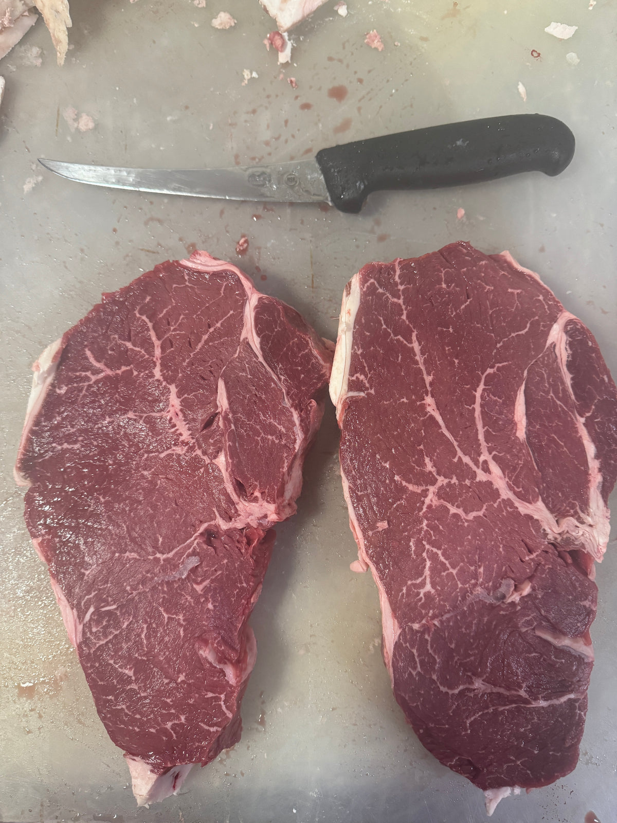 Full grain fed Holstein hfr