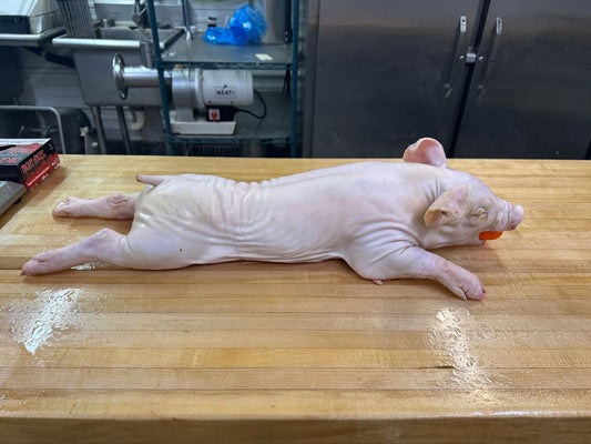 30 lb roaster pig